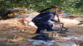 Evin bahçesine giren 2 metrelik yılan korkuttu