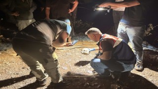 Gazipaşa'da ormanlık alanda kafatası bulundu