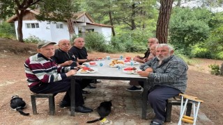 Gerzede huzurevi sakinleri doğada moral depoladı