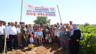 Gölbaşında bağ bozumu heyecanı başladı
