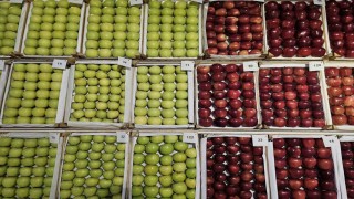 Gölcük'te en lezzetli elma ve armutlar vitrine çıktı