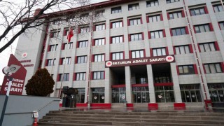 Gülistan Doku soruşturmasında tutuklu sayısı 36 oldu