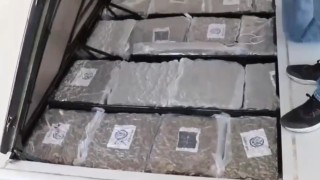 Gümrük Muhafaza ekiplerinden uyuşturucu kaçakçılığına darbe: 387 kilo skunk ele geçirildi