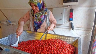 Günler süren işlem dakikalara indi: Kuşburnu marmeladı zamanı