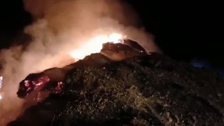 Hakkari'de 5 bin ot balyası kül oldu