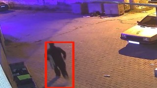 Halı hırsızlığı kamerada