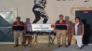 Hatayda 7 arı şahini avlayan şahsa ceza yağdı