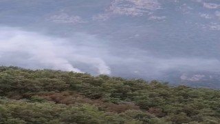 Hatay'daki orman yangınının enerjisi düşürüldü