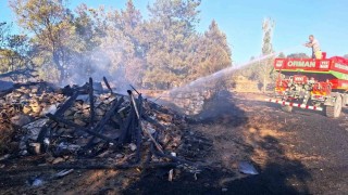 Hisarcıkta otluk yangını: 3 hektarlık alan zarar gördü