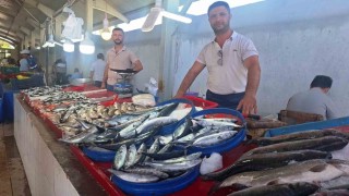 Hisarcıkta vatandaşların en çok tercih ettiği balık türü palamut oldu