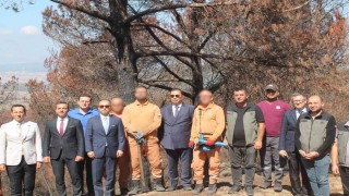 Hükümlüler ormanların yeniden yeşertilmesi için sahada