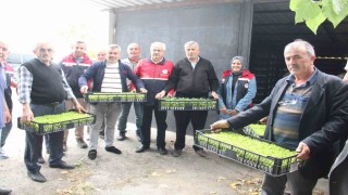 İnebolu'da 65 çiftçiye 88 bin 400 adet sebze fidesi dağıtıldı