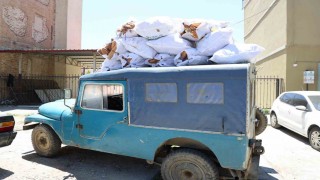 İnsanlar aç kalmasın diye üretiliyor, hayvan yemi olarak satılıyor