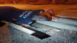 İskenderun'da mahsur kalan hayvanlar ekipler tarafından kurtarıldı