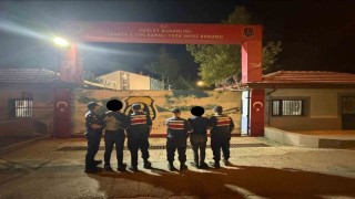 Ispartada 4 büyükbaş hayvan hırsızlığına 2 tutuklama