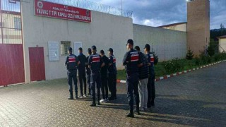 Isparta'da uyuşturucu operasyonunda 3 şüpheli tutuklandı