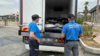 İzmir'de kaçak avlanan 3 ton mavi yüzgeçli orkinos ele geçirildi