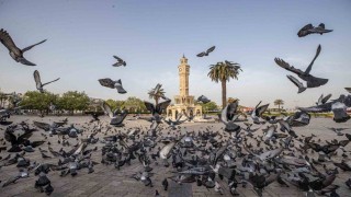 İzmirin iklim deneyimi Avrupaya taşınacak