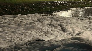 İzmit'te sahildeki köpükler merak uyandırdı