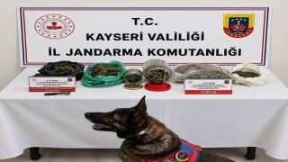 Jandarma operasyonunda bin 200 gram uyuşturucu ele geçirildi