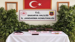 Jandarmadan 3 ilçede uyuşturucu operasyonu: 3 tutuklama
