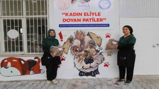 Kadın eliyle sıfır atık ve yeşil dönüşüme örnek model