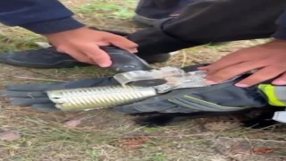 Kafasını konserve kutusuna sıkıştıran kediyi itfaiye kurtardı