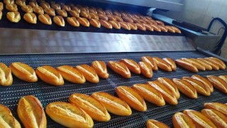 Kahramanmaraş Halk Ekmek'te doğal sıvı maya sistemi devreye alındı