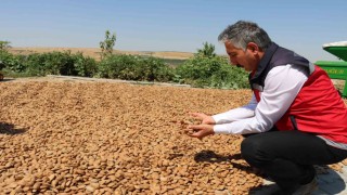 Kahtada tarımsal mekanizasyon destekleri çiftçilere kazandırıldı