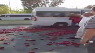 Kaldırım işgaline müdahale ettiler, ortalık biber tarlasına döndü