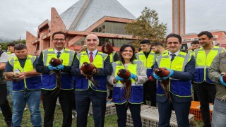 Kampüste 200 sülün doğayla buluştu