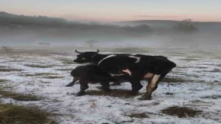 Karabükte dolu yağışı etkili oldu