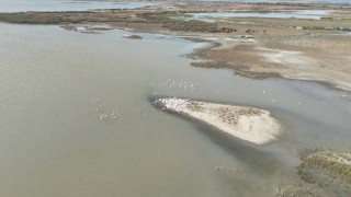 Karacabey'de göl üzerinde pelikanlar havadan görüntülendi