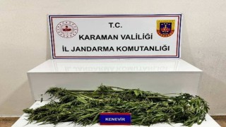 Karaman'da jandarmanın yakaladığı 31 şahıstan 11'i tutuklandı