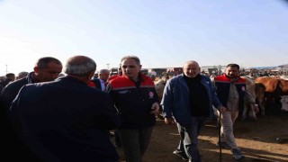 Kars Hayvan Pazarında sıkı denetim: Hayvan hareketliliğine sağlık ve güvenlik filtresi