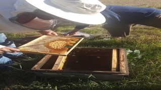 Karsta arıcılığa güç, üretime destek: Kovan başına 250 TLye kadar destek