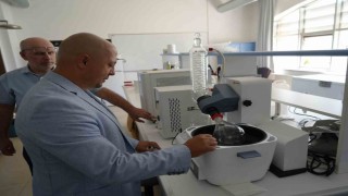 Kastamonu ormanlarında yetişen mantarlar ciltleri güneşten koruyacak