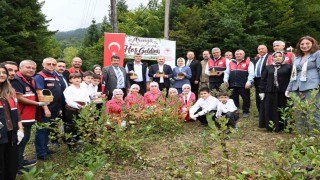 Kastamonu'da aronya hasadı başladı