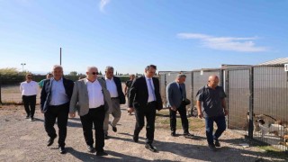 Kaymakam Zafer Engin, Sokak Hayvanları Bakım ve Rehabilitasyon Merkezi'ni ziyaret etti