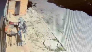 Kaynanasının en sevdiği çiçek çalındı: "Teyzenin yapacağı aklımızdan geçmezdi"