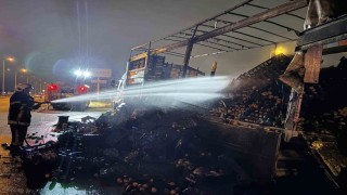 Kayseri'de sebze ve meyve yüklü kamyon alevlere teslim oldu