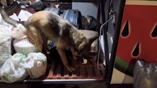 Kayseride yolcu otobüsü operasyonu: 3 kilo 420 gram uyuşturucuyla yakalanan 2 şüpheli tutuklandı