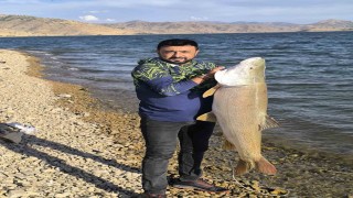 Keban Baraj Gölü'nde 30 kiloluk dev turna balığı