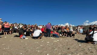 Kemer'de son caretta caretta yuvası açıldı