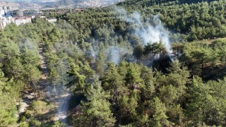 Kent ormanındaki örtü yangını büyümeden söndürüldü