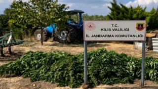 Kilis'te 40 kilo 500 gram kubar esrar ele geçirildi
