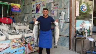 Kiliste balık sezonu açıldı, tezgahlar çeşitlendi