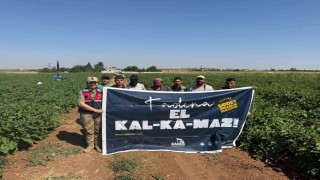 Kiliste kadına karşı şiddet ve KADES bilgilendirmesi