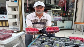 Kıraç arazileri aronya ve ahududugil yetiştirerek değerlendirdi