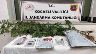 Kocaelide 1 kilo esrar ele geçirildi